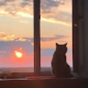 Meet your Posher, Jade kariya